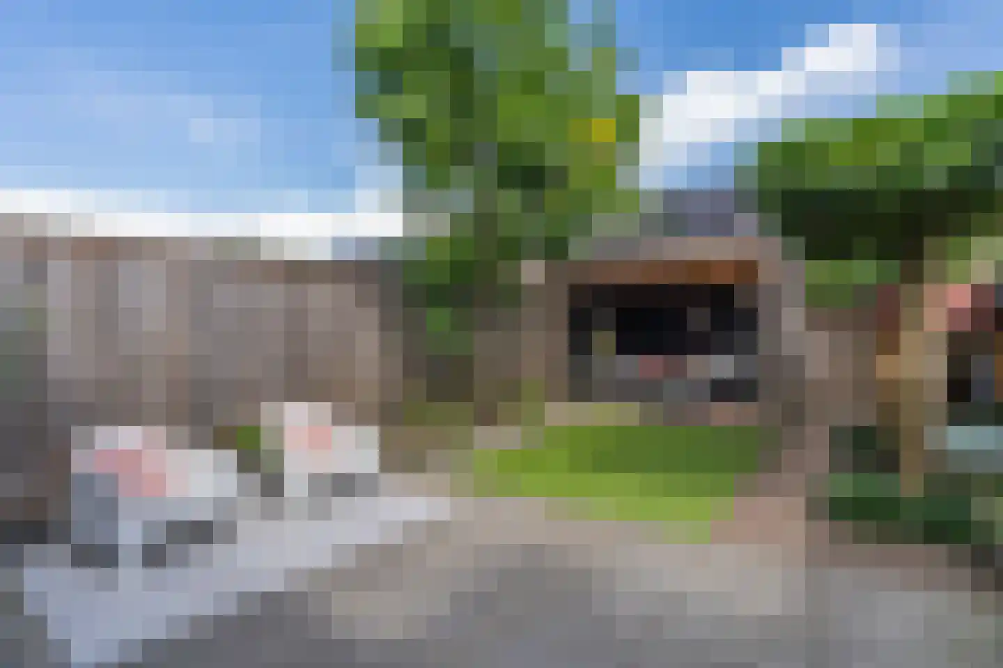 Korf 4 Den Dungen thumbnail 27