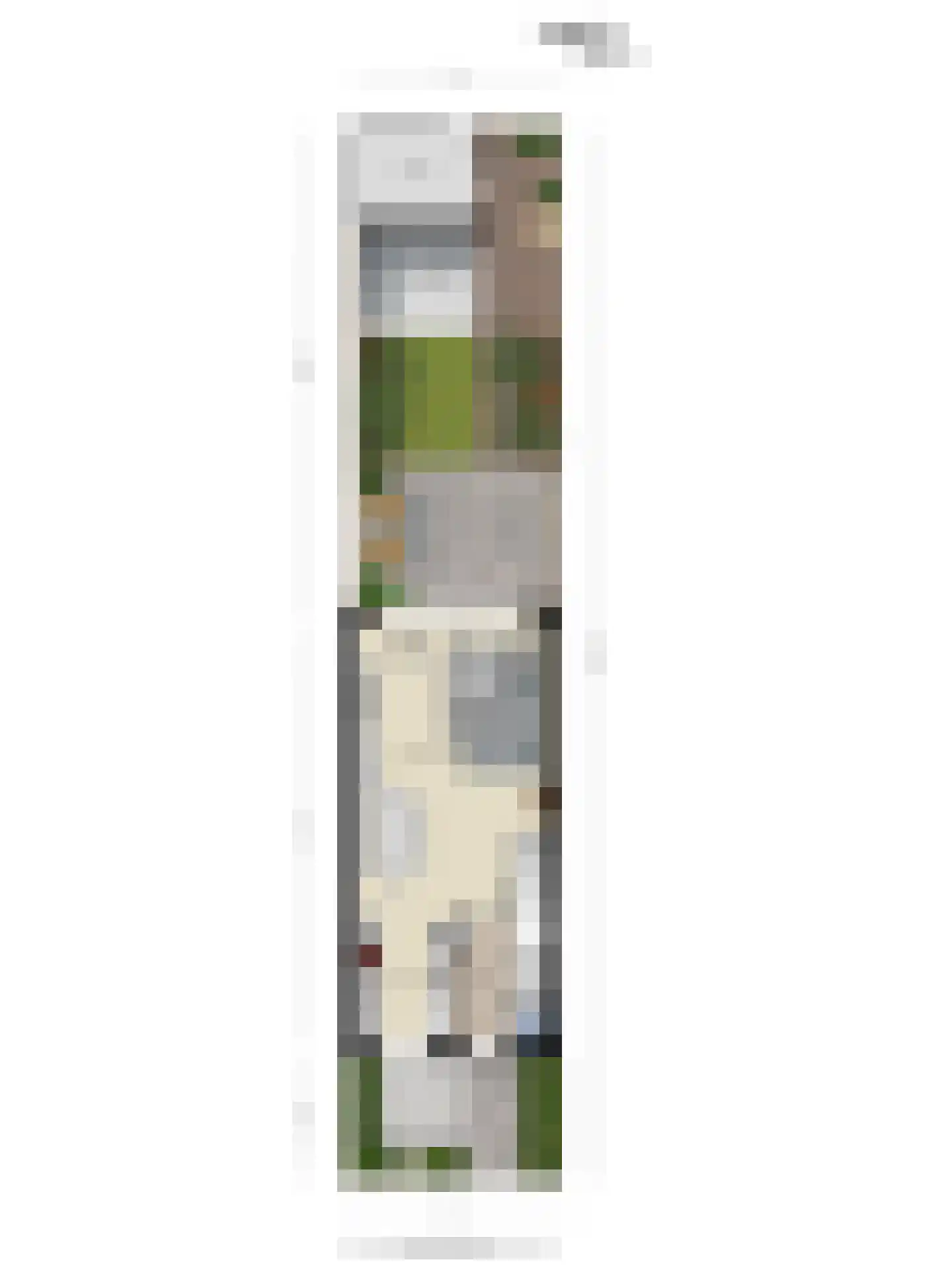 Korf 4 Den Dungen thumbnail 35