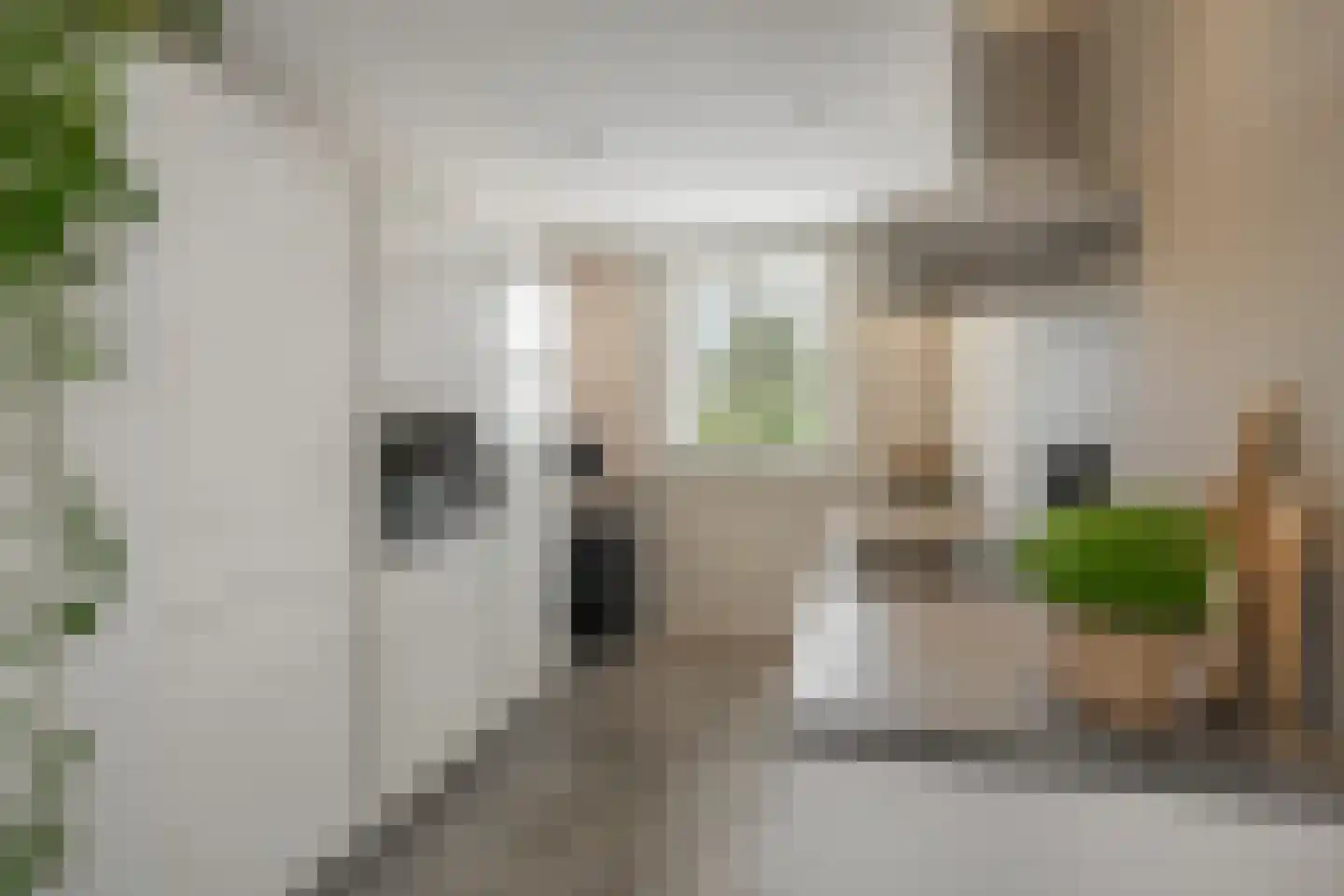 Korf 4 Den Dungen thumbnail 8