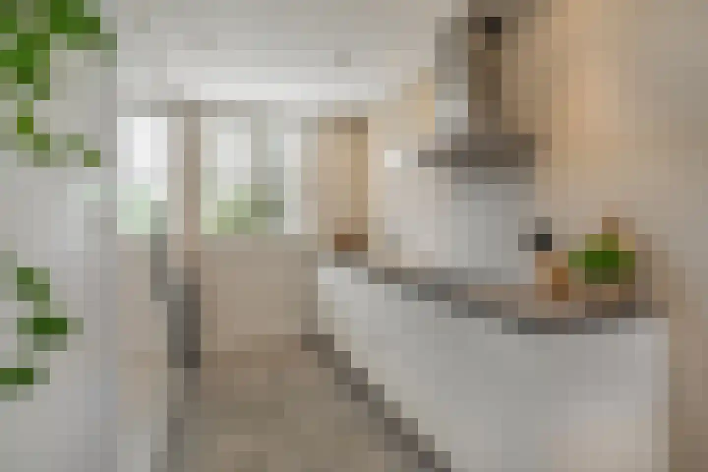 Korf 4 Den Dungen thumbnail 9