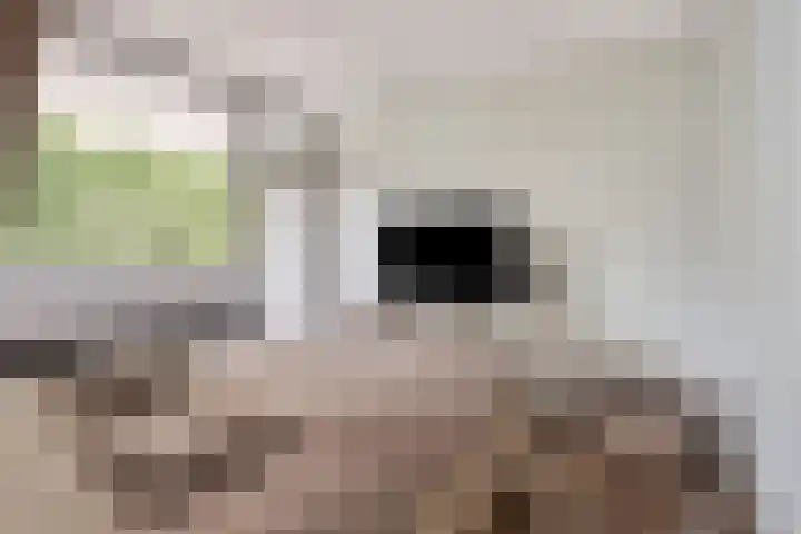 Korfakker 24 Eindhoven thumbnail 14