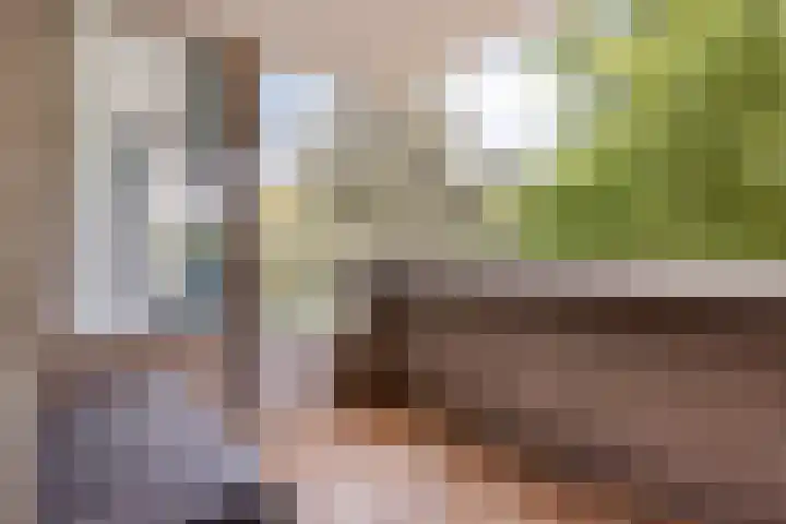 Korfakker 24 Eindhoven thumbnail 17