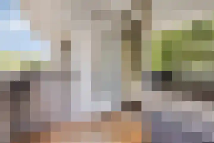 Korfakker 24 Eindhoven thumbnail 18