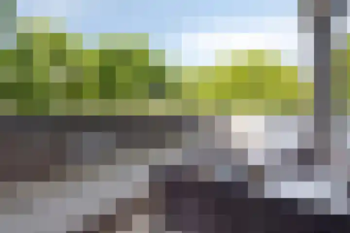 Korfakker 24 Eindhoven thumbnail 19