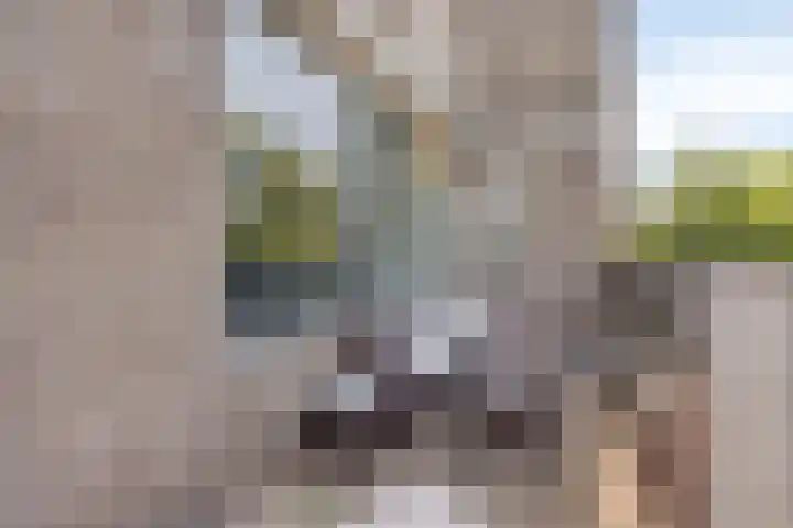 Korfakker 24 Eindhoven thumbnail 20