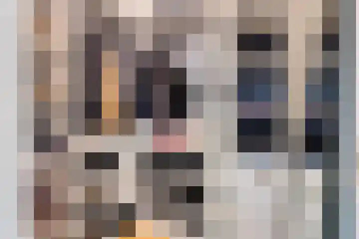 Korfakker 24 Eindhoven thumbnail 21