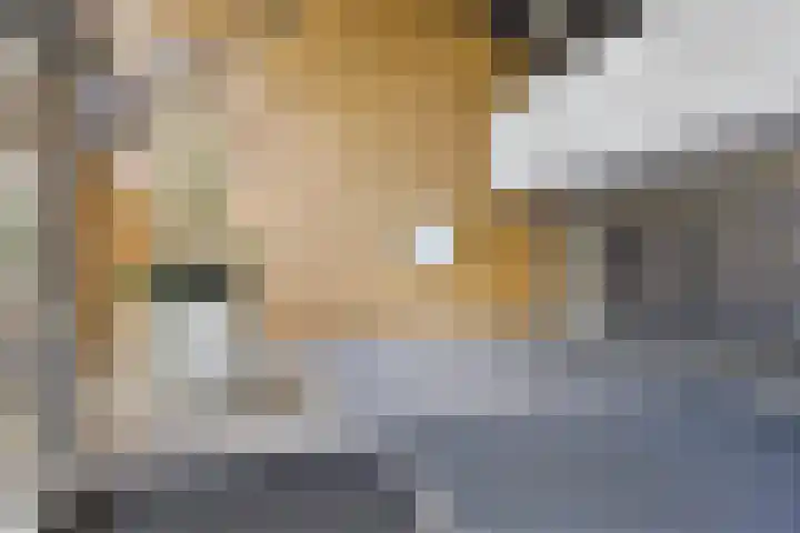 Korfakker 24 Eindhoven thumbnail 23