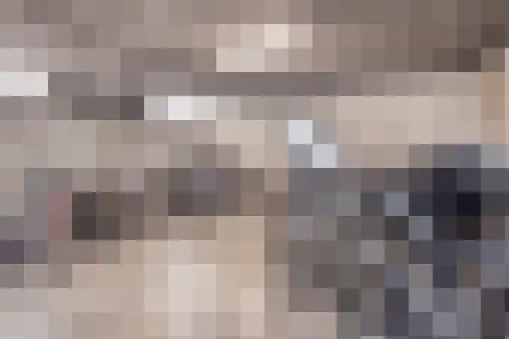 Korfakker 24 Eindhoven thumbnail 25