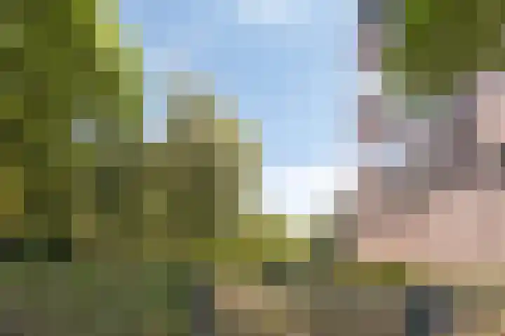 Korfakker 24 Eindhoven thumbnail 27