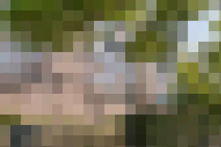 Korfakker 24 Eindhoven thumbnail 28