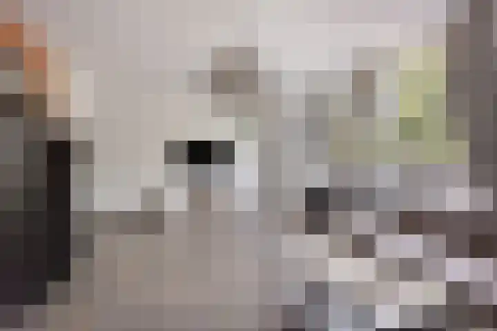 Korfakker 24 Eindhoven thumbnail 9