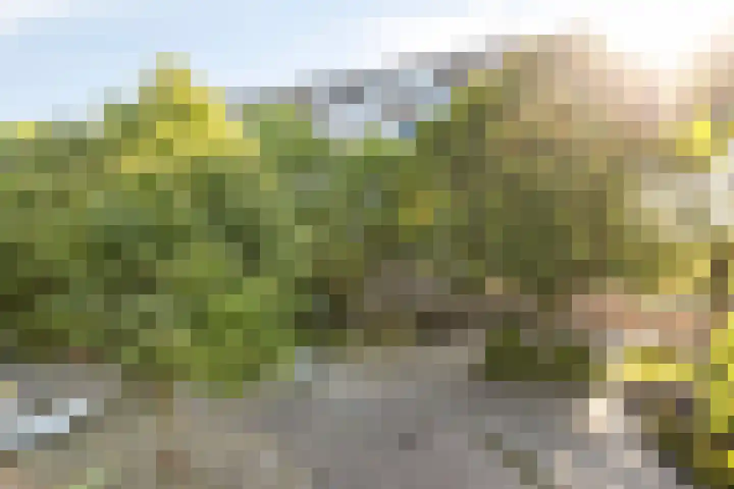 Korfakker 40 A Eindhoven thumbnail 30
