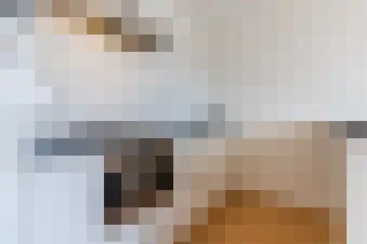 Korfakker 54 Eindhoven thumbnail 8