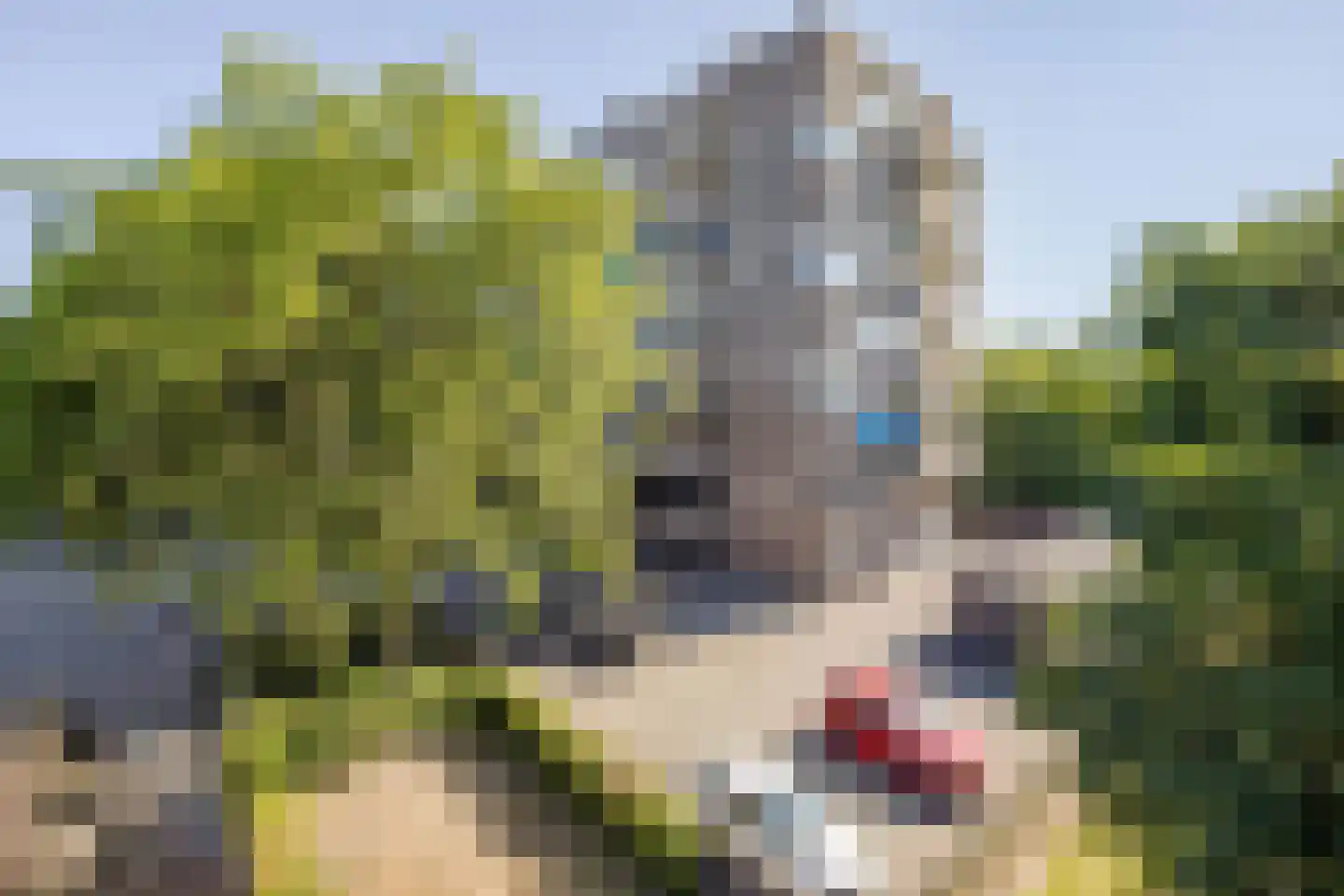Korfakker 62 A Eindhoven thumbnail 4