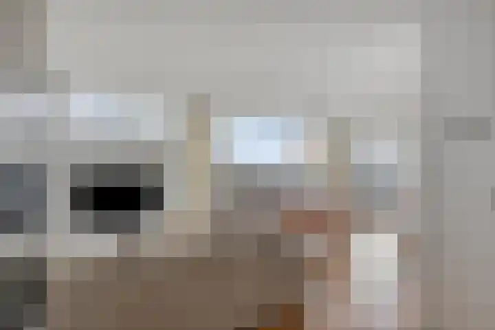 Korfakker 62 Eindhoven thumbnail 11
