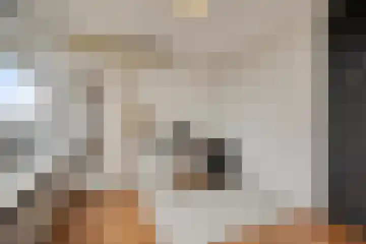 Korfakker 62 Eindhoven thumbnail 12