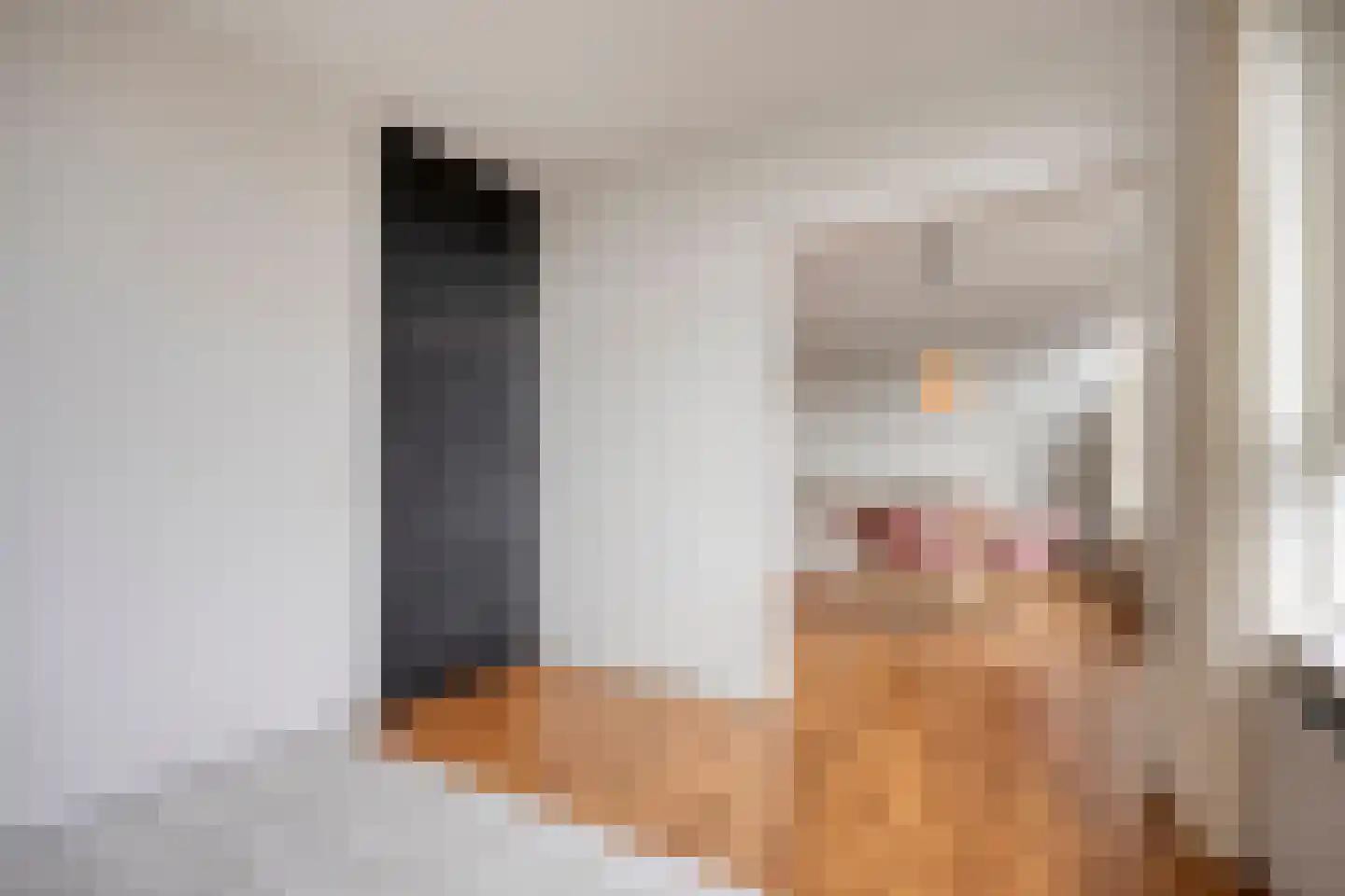 Korfakker 62 Eindhoven thumbnail 13