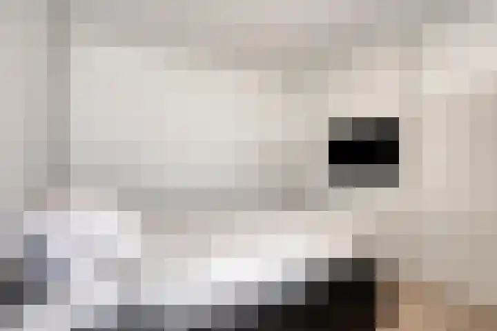 Korfakker 62 Eindhoven thumbnail 14