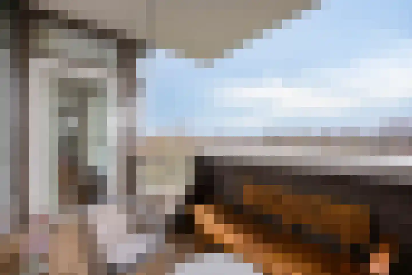 Korfakker 62 Eindhoven thumbnail 20
