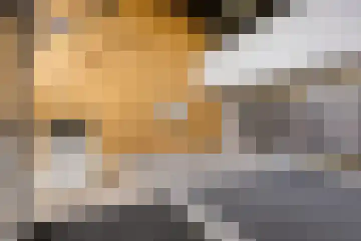 Korfakker 62 Eindhoven thumbnail 24