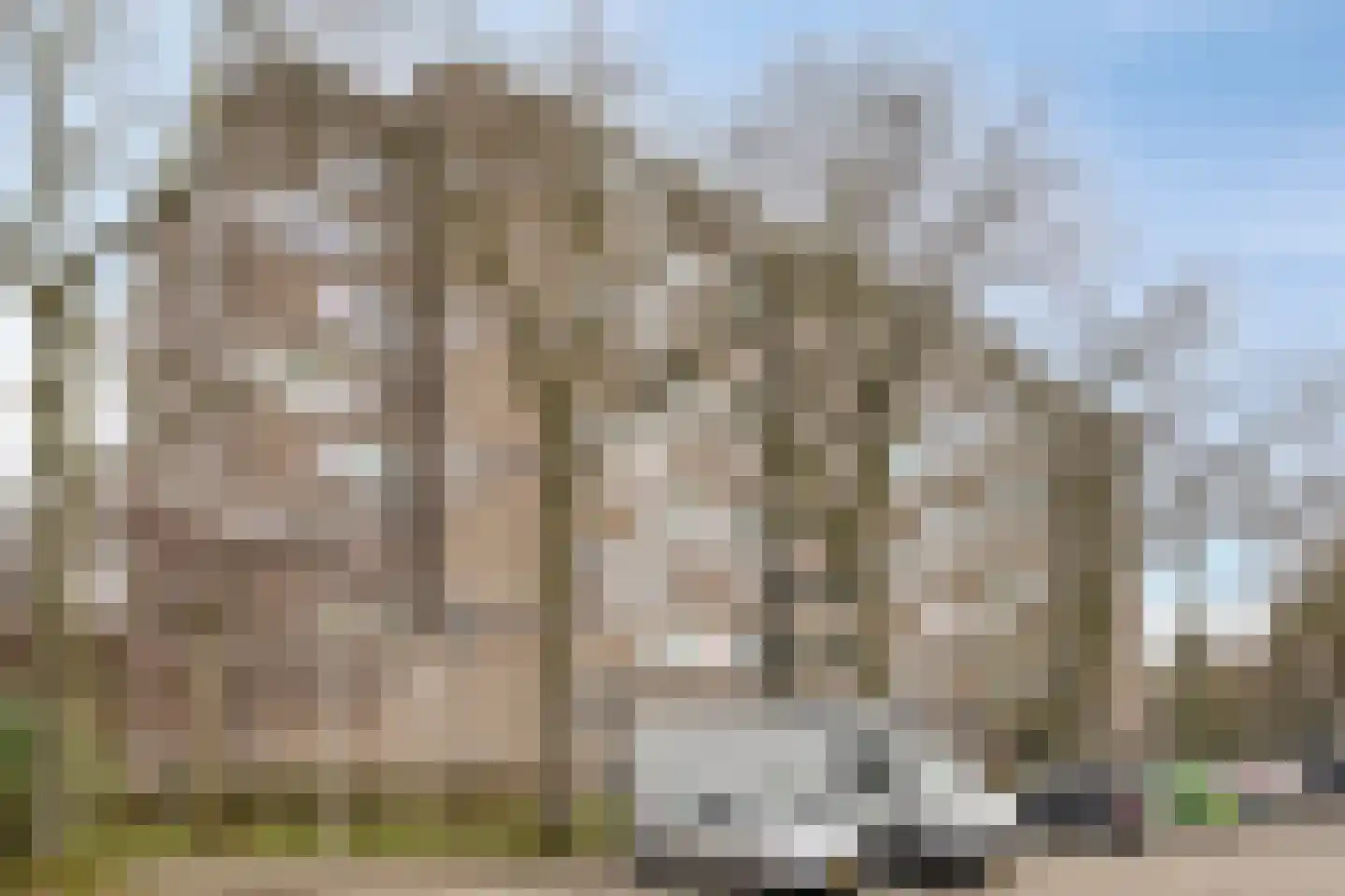 Korfakker 62 Eindhoven thumbnail 26