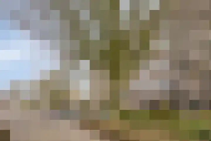 Korfakker 62 Eindhoven thumbnail 28
