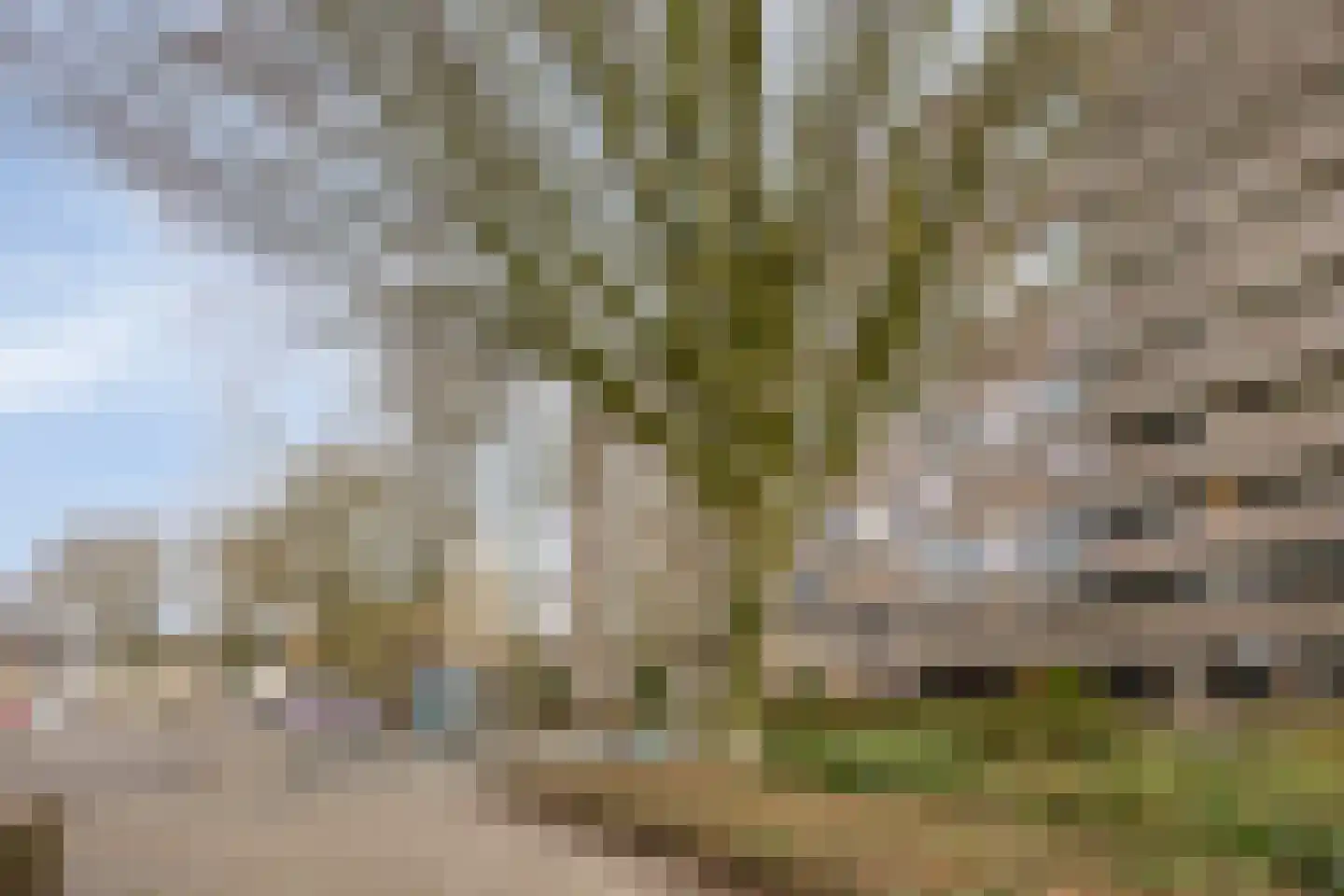 Korfakker 62 Eindhoven thumbnail 28