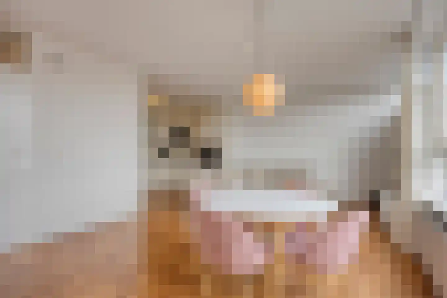 Korfakker 62 Eindhoven thumbnail 7