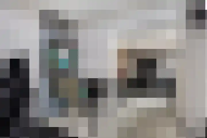 Korfakker 70 Eindhoven thumbnail 16