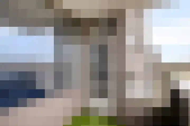 Korfakker 70 Eindhoven thumbnail 22