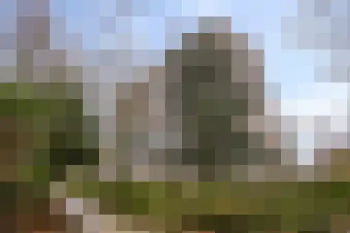 Korfakker 70 Eindhoven thumbnail 27