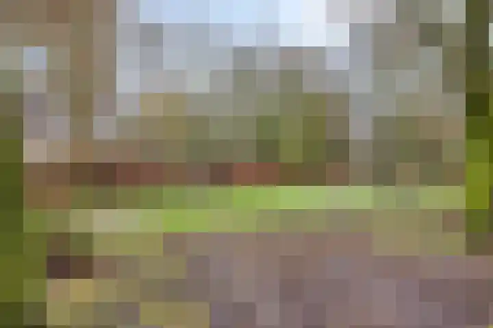 Korfakker 70 Eindhoven thumbnail 29