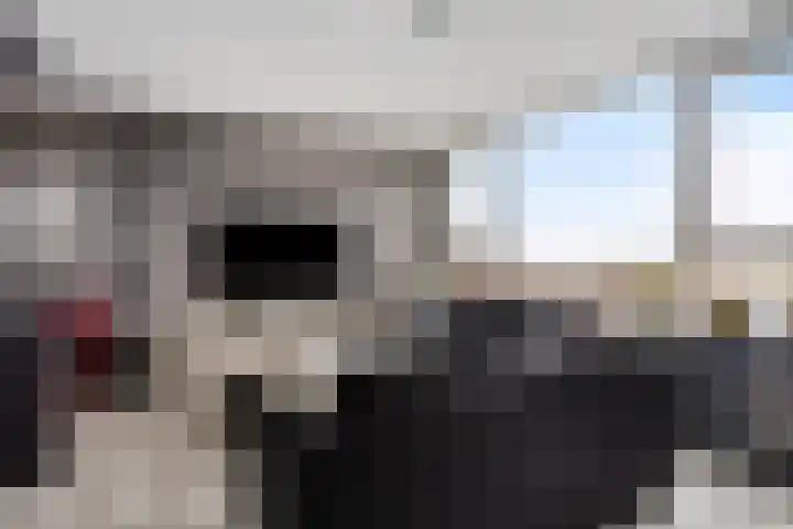 Korfakker 70 Eindhoven thumbnail 6