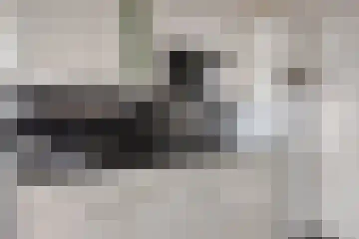 Korfakker 76 Eindhoven thumbnail 22