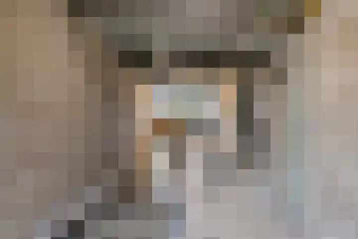 Korfakker 76 Eindhoven thumbnail 31