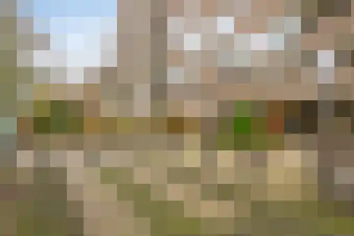 Korfakker 76 Eindhoven thumbnail 4