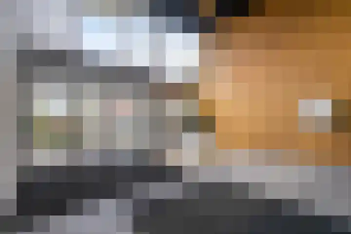 Korfakker 76 Eindhoven thumbnail 7