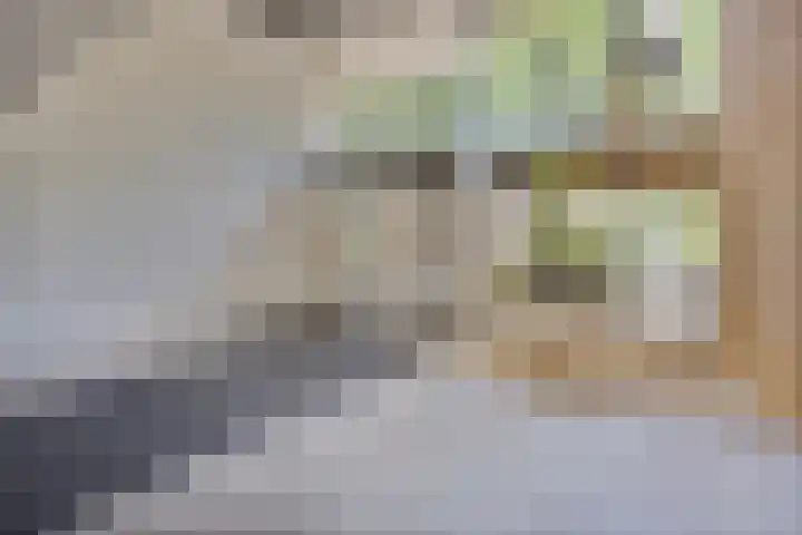 Korfakker 78 Eindhoven thumbnail 12