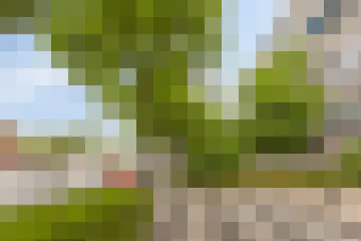 Korfakker 78 Eindhoven thumbnail 32