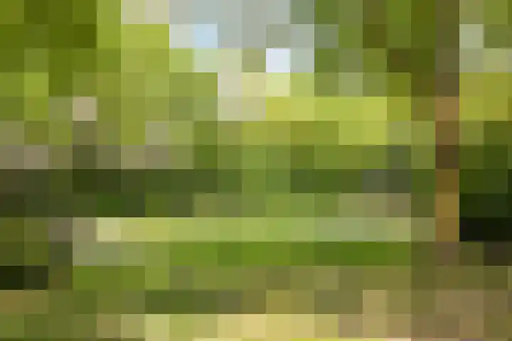 Korfakker 78 Eindhoven thumbnail 33