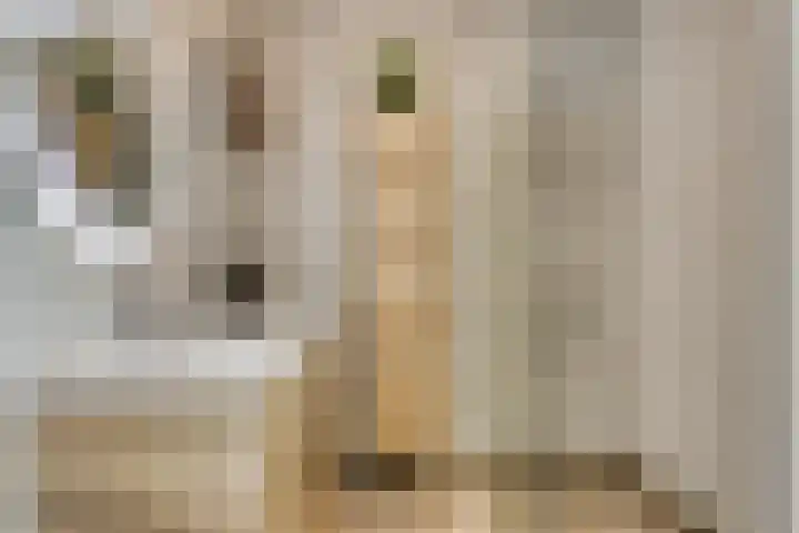 Korfakker 78 Eindhoven thumbnail 4