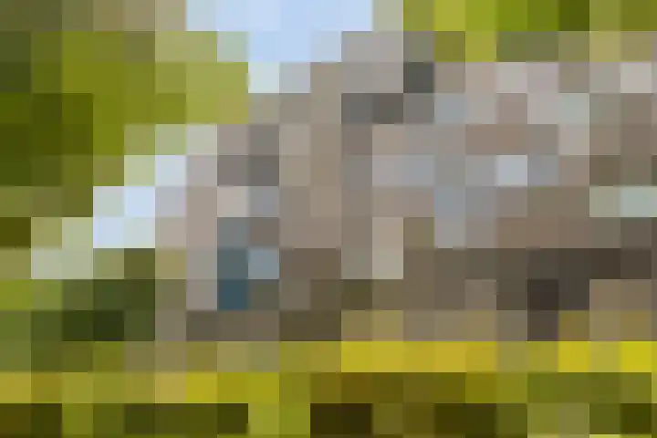 Korfakker 78 Eindhoven thumbnail 6