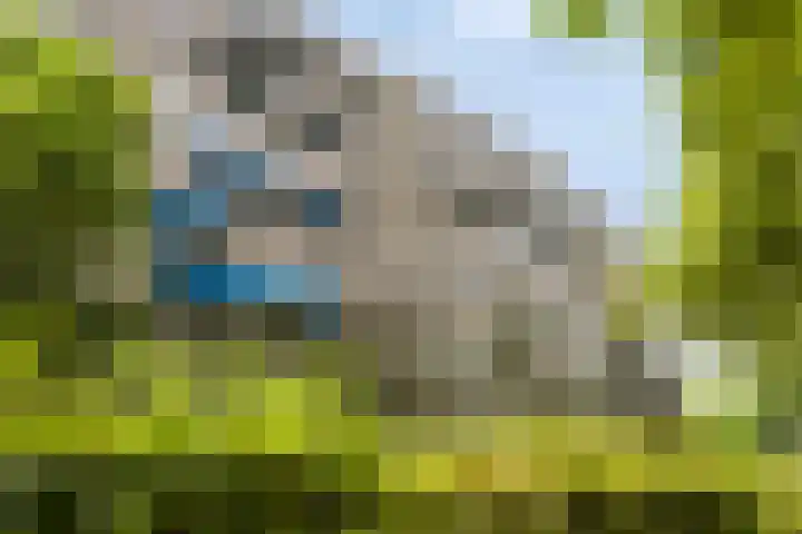 Korfakker 78 Eindhoven thumbnail 8