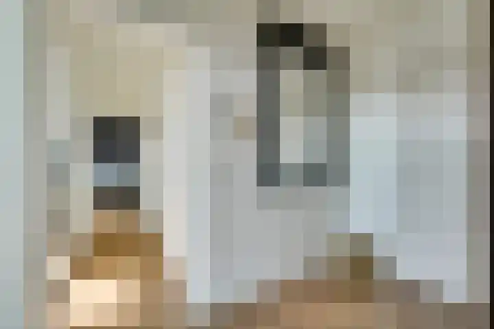 Korfakker 86 Eindhoven thumbnail 13