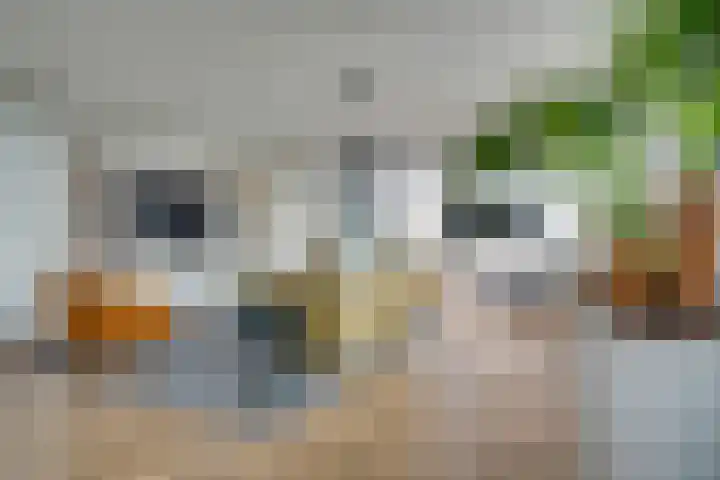 Korfakker 86 Eindhoven thumbnail 32