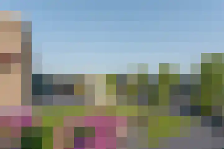 Korfakker 86 Eindhoven thumbnail 41