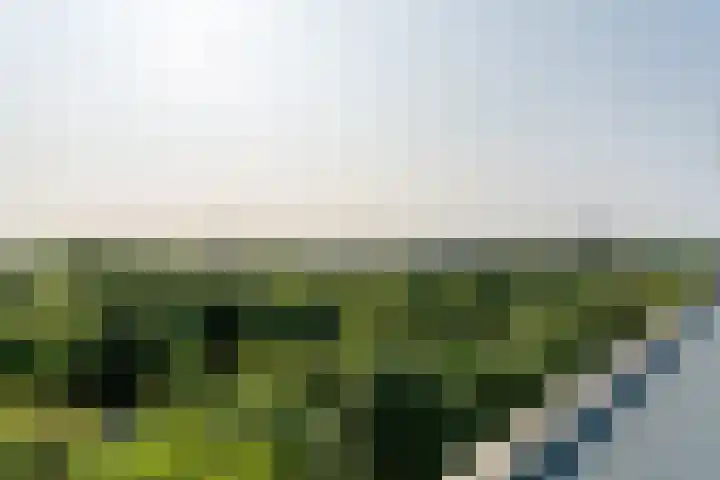 Korfakker 86 Eindhoven thumbnail 47