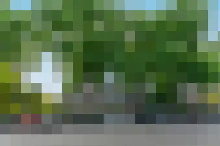 Korfakker 86 Eindhoven thumbnail 8