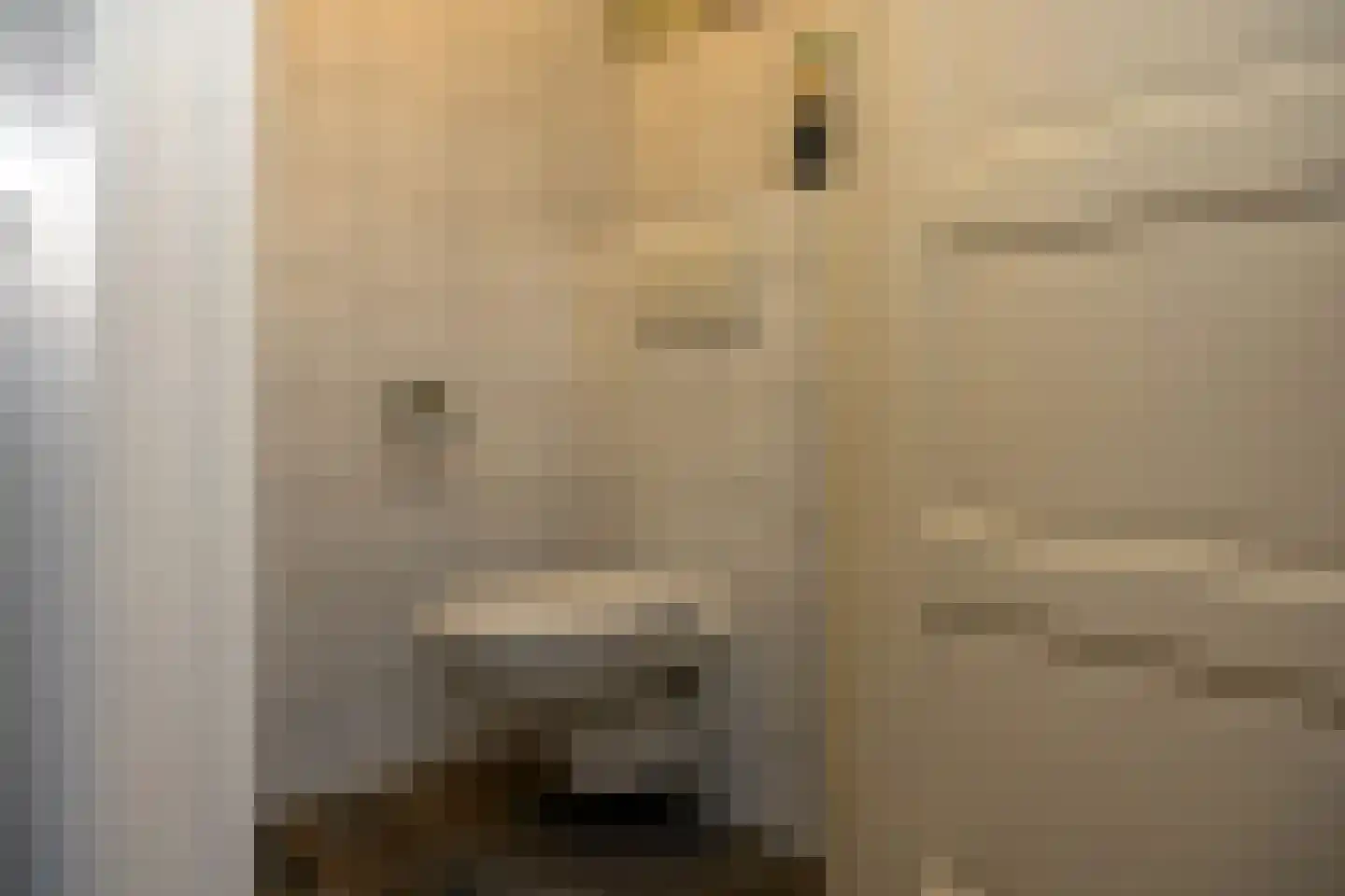Korfbaeck 2 Den Burg thumbnail 5