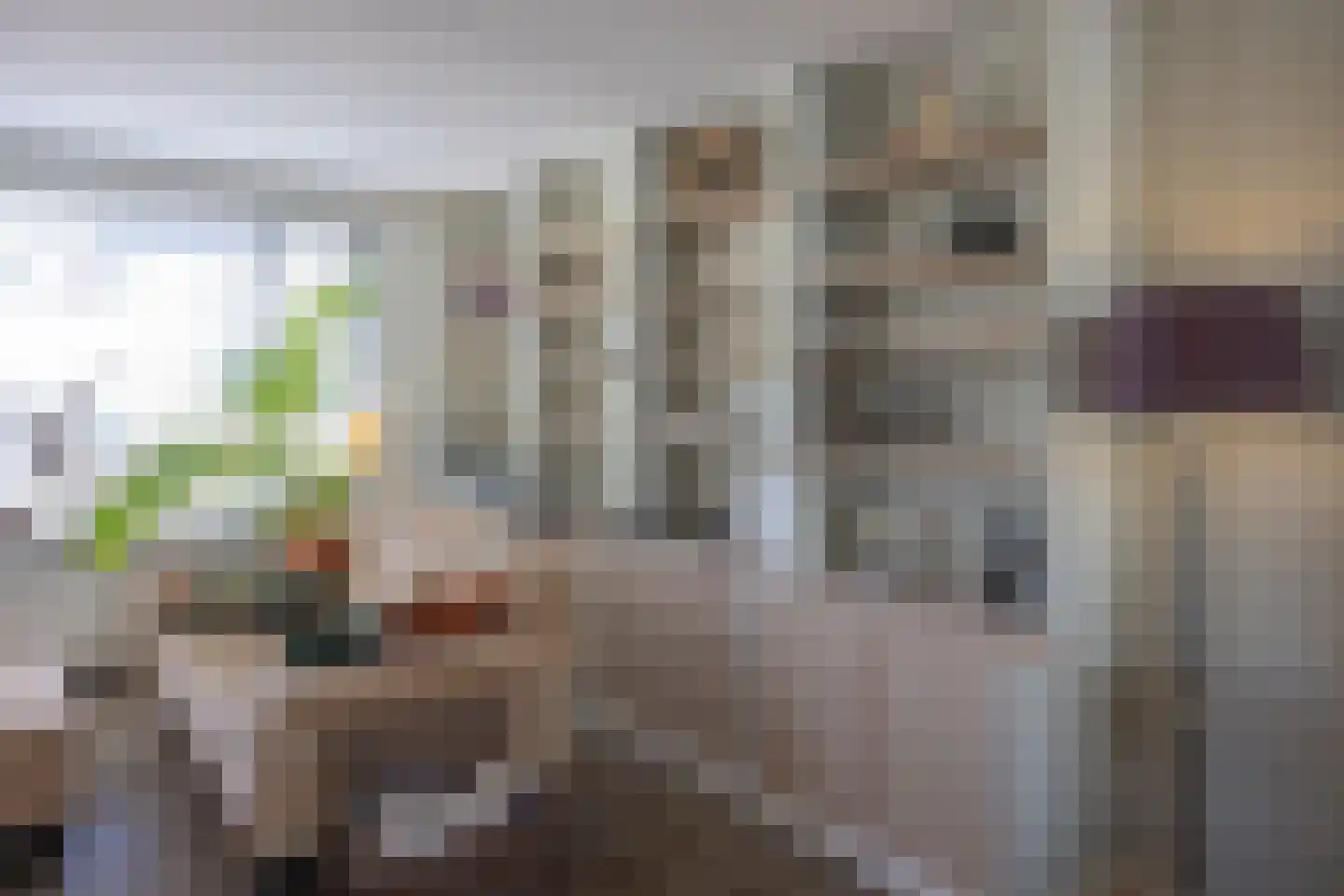 Korfbaeck 2 Den Burg thumbnail 7